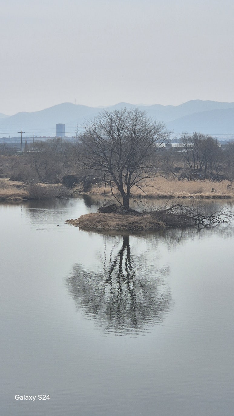 대구선반야월공원 이미지