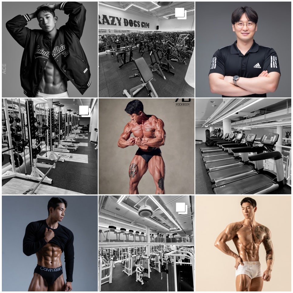 크레이지독스짐 이미지