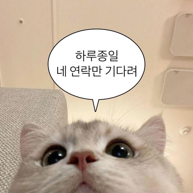 붙이다니 이미지