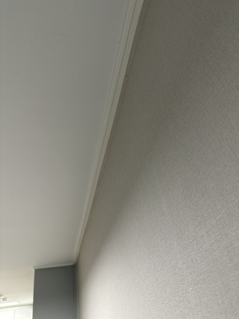 원.표구 이미지