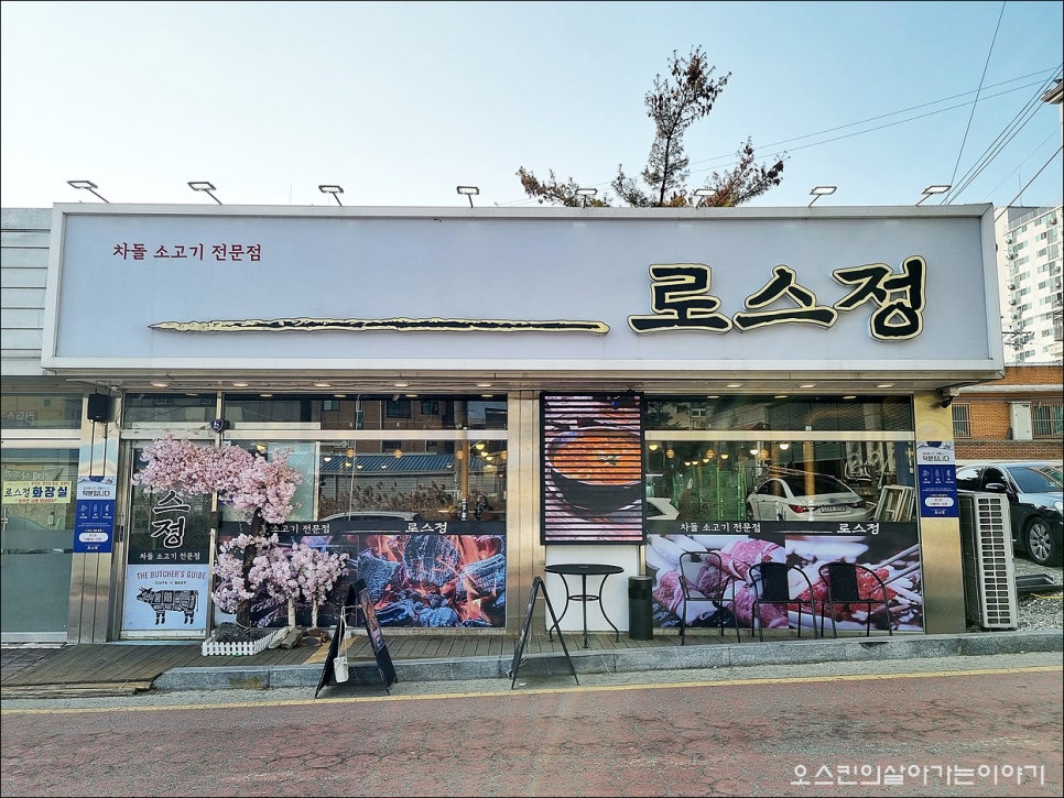 로스정 이미지
