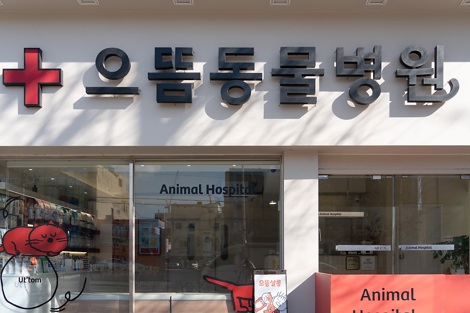 인천 강아지 건강검진, 주안 으뜸동물병원 후기 — 사진 3
