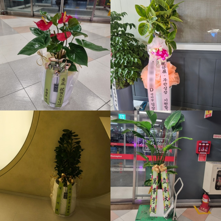 버튼플라워샵 이미지