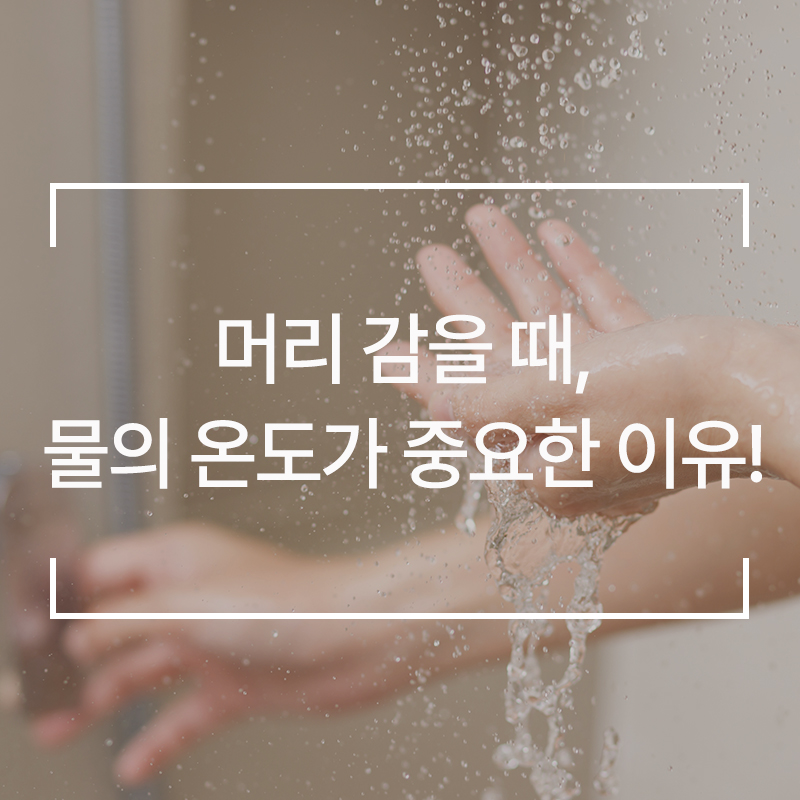 웰킨제주점 이미지