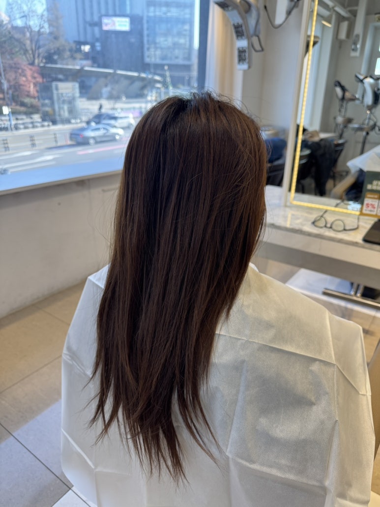 살롱미닝 이미지