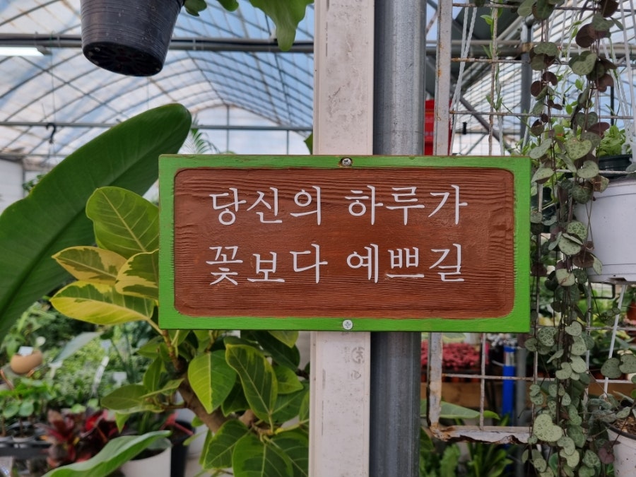 초록나라식물원 이미지