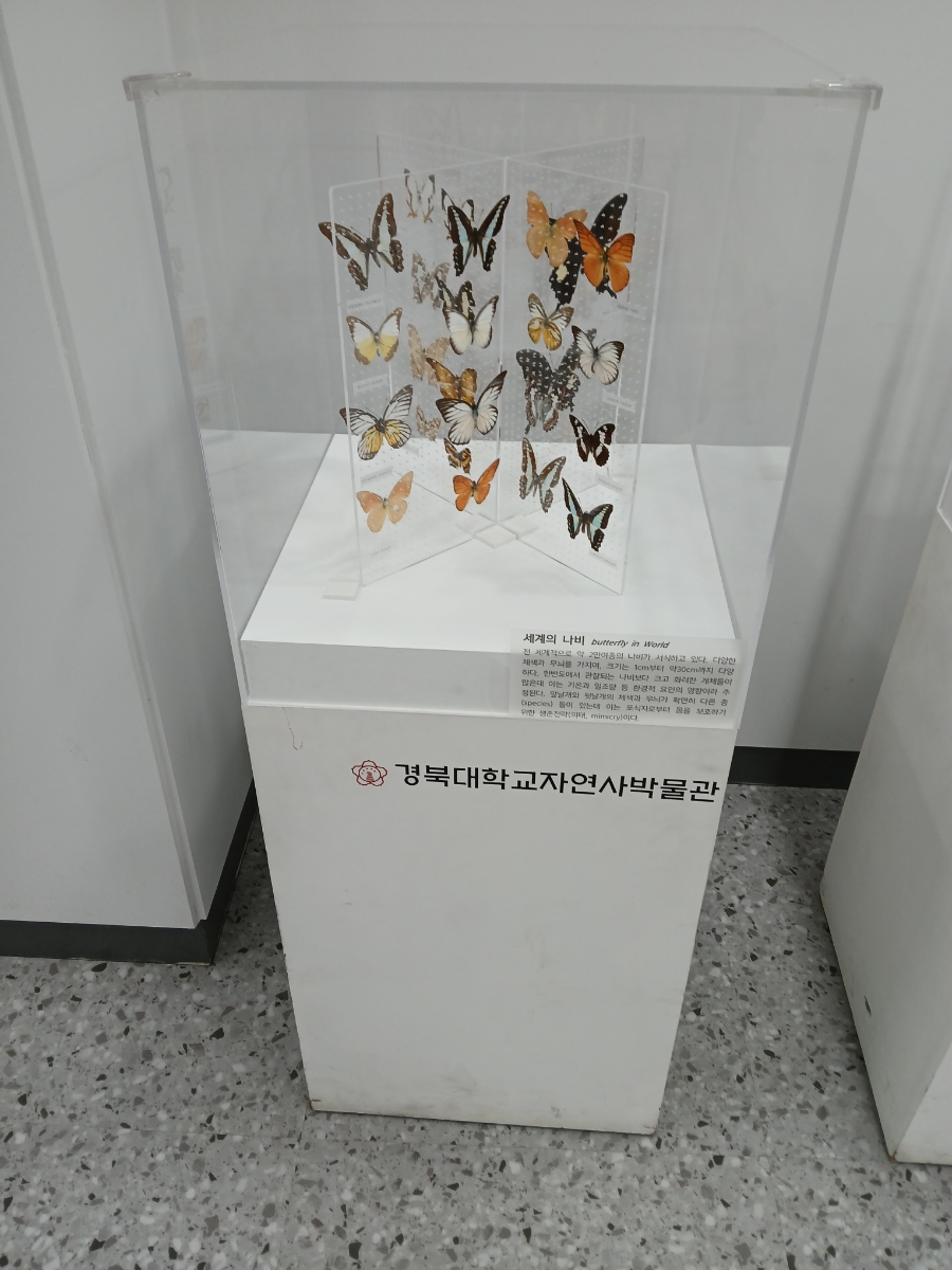 주식회사 누리국제 이미지