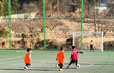 유에스씨(USC) 이미지