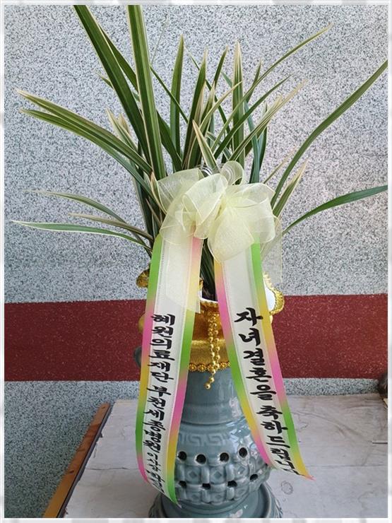 플라워물들이다 이미지