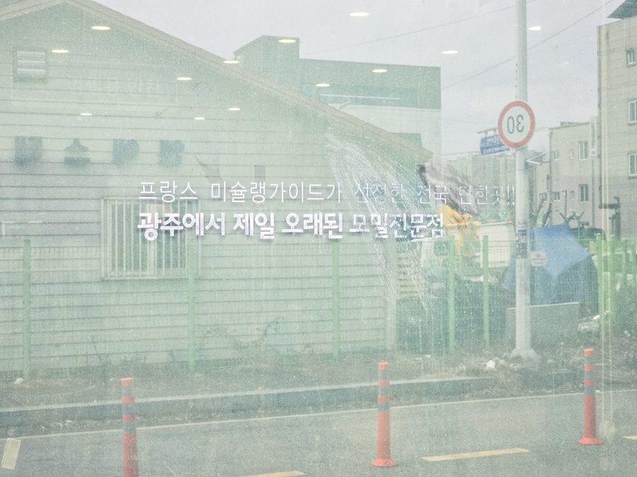 1960청원 이미지
