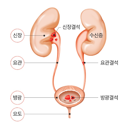 화성디에스병원 이미지