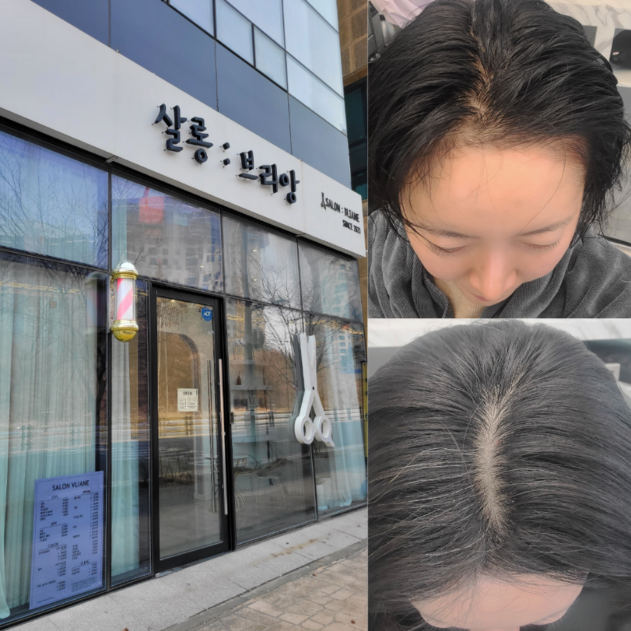 살롱브리앙 이미지