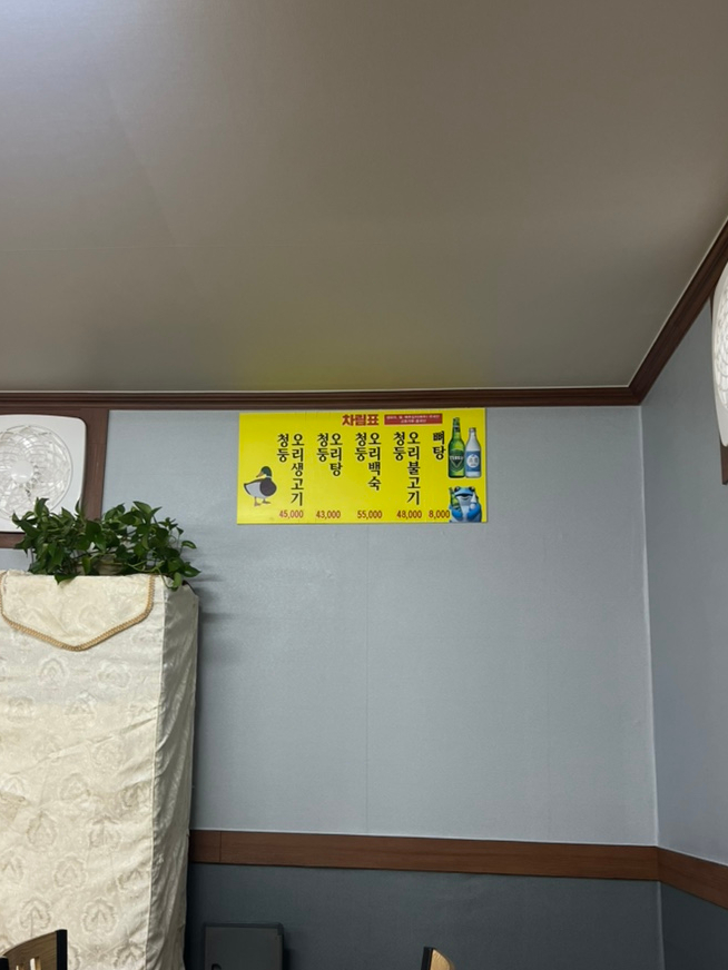대동강오리알 이미지
