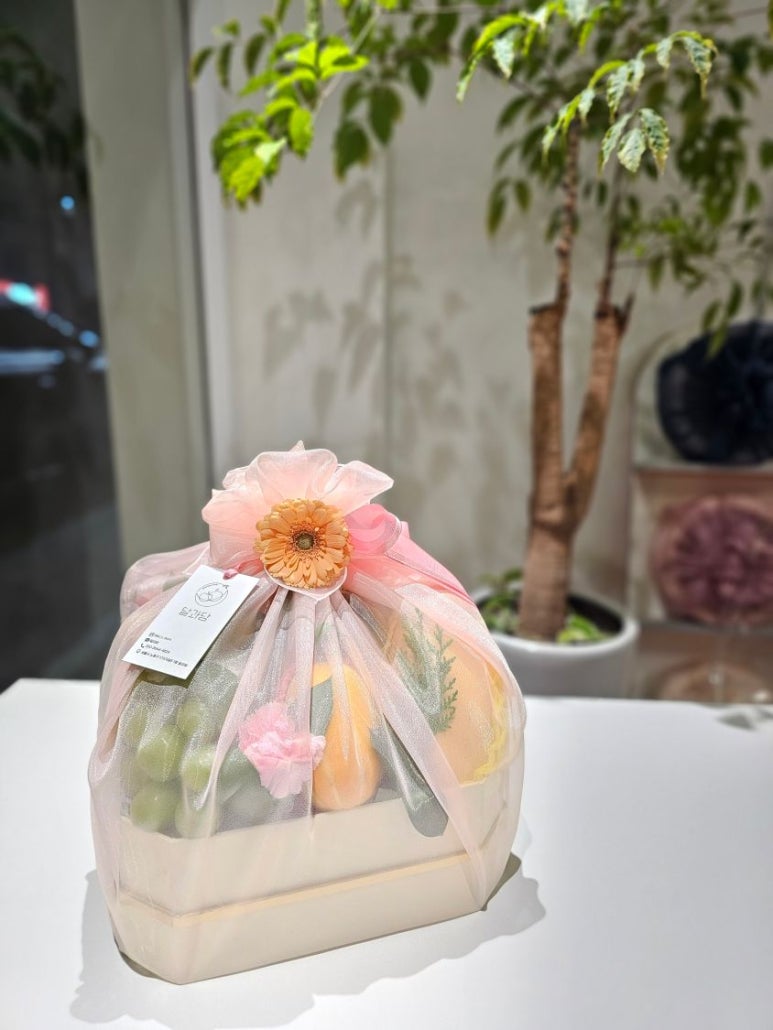 달과담 이미지