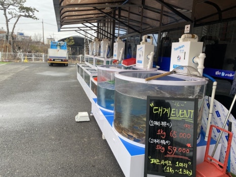 바다이야기(2호점) 이미지