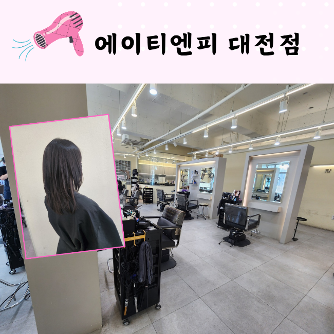티엔피주 이미지