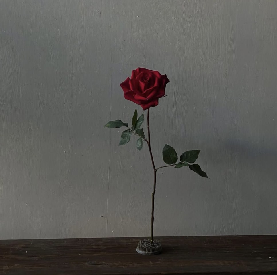 디어파트너 이미지