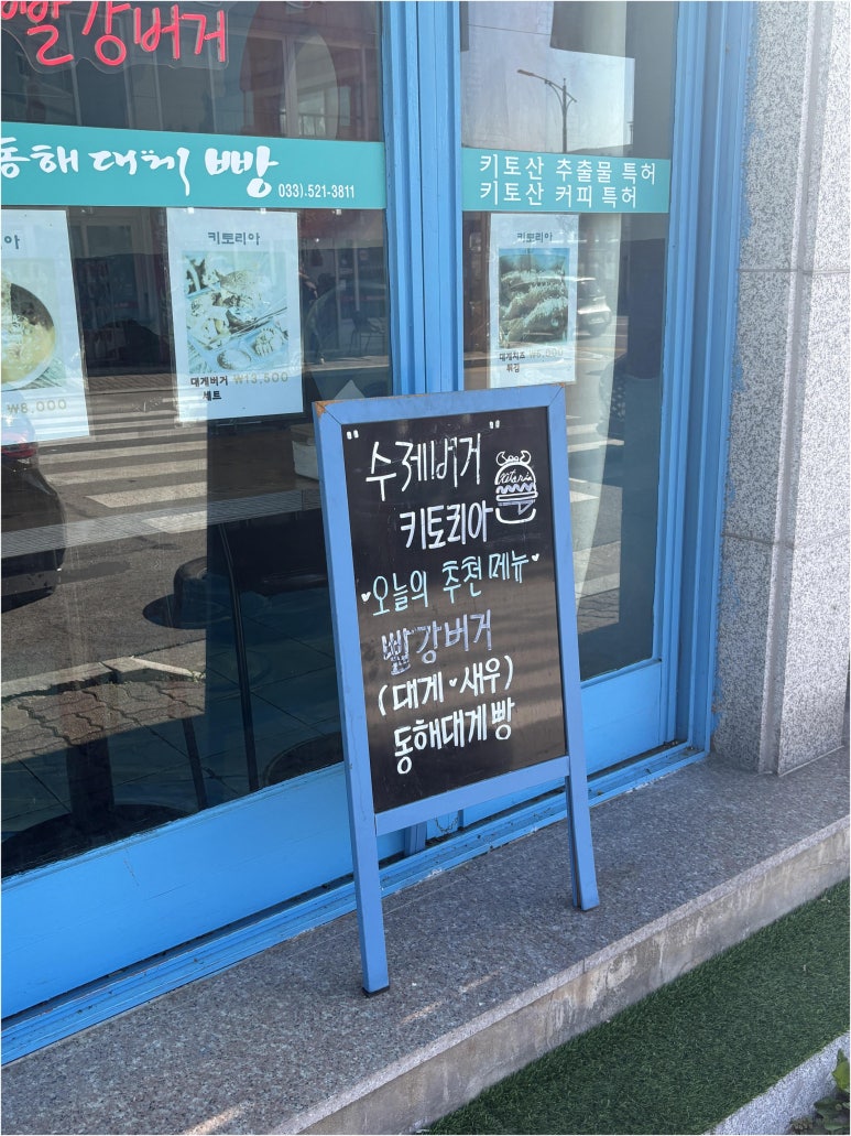 키토리아 이미지