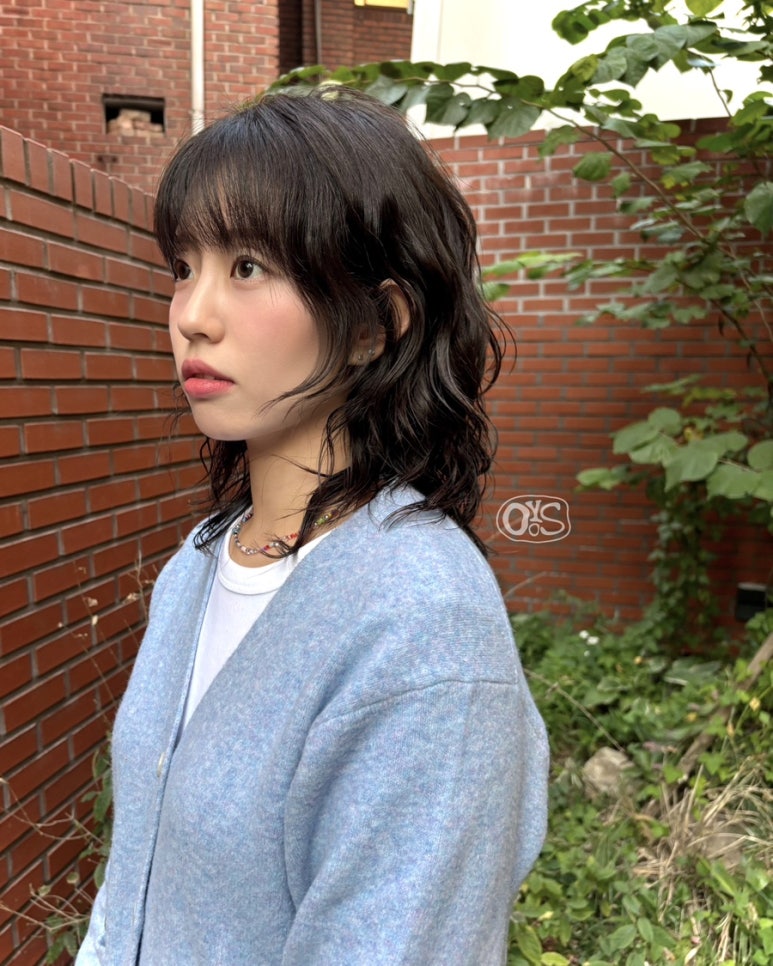 우이즈 이미지