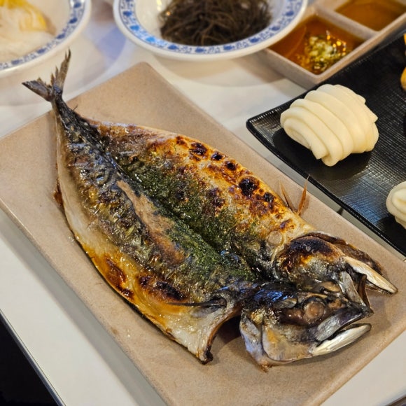 회뜨는중 이미지