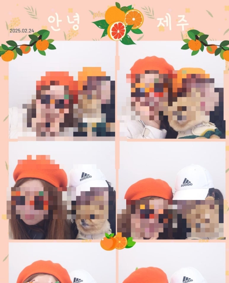 솔브제주 이미지