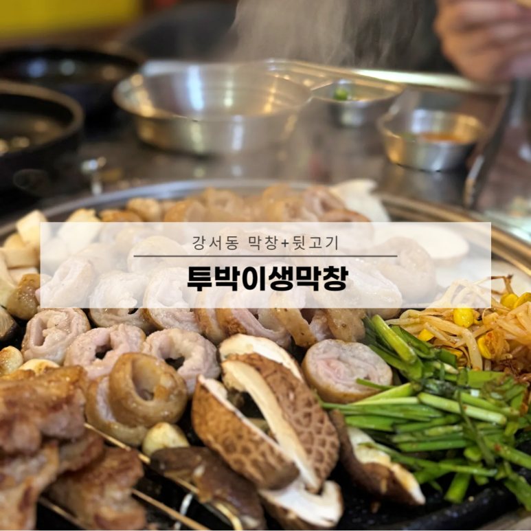 투박이생막창 이미지