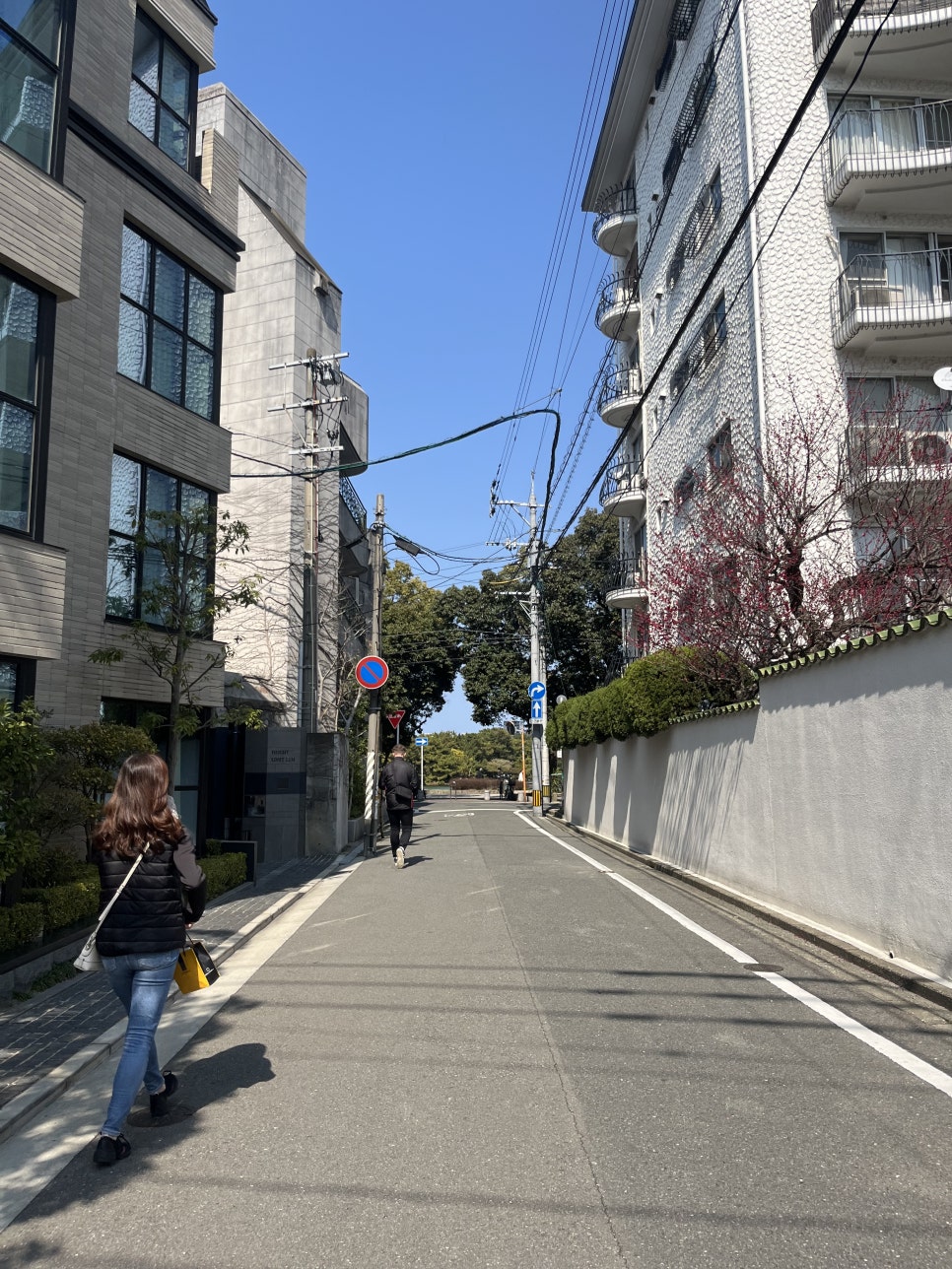 인가배 이미지