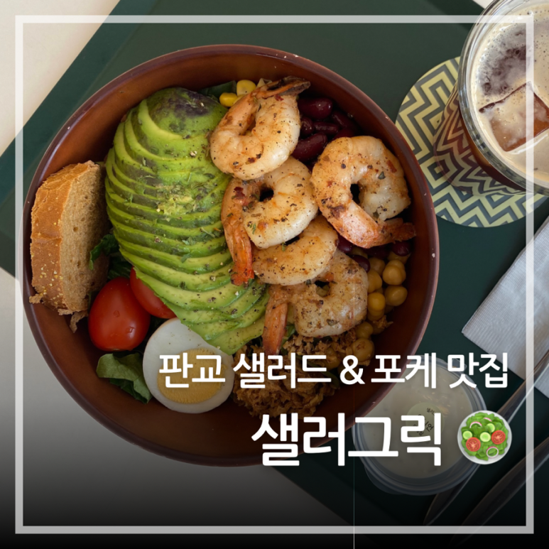 샐러그릭 이미지