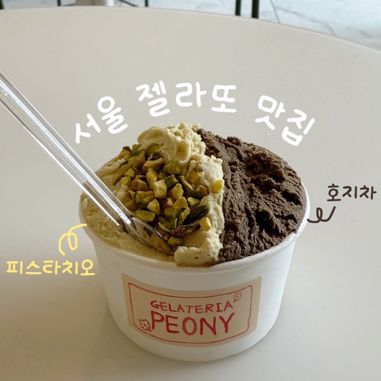 젤라떼리아피오니 이미지