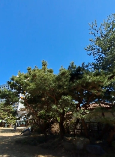 금호정비서비스주 이미지