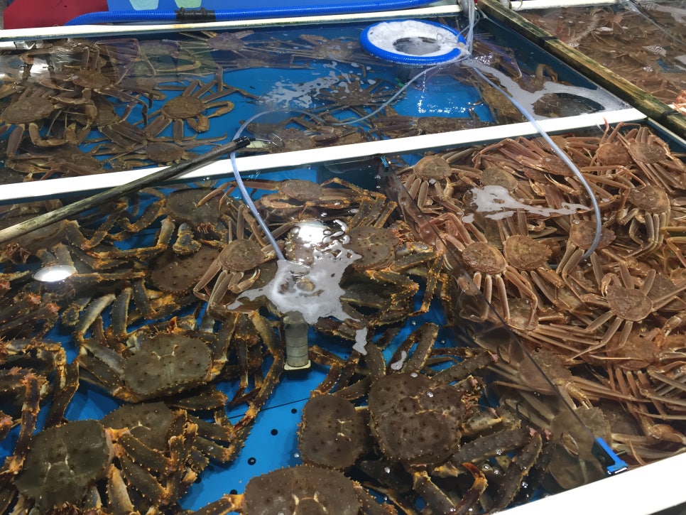 이강크랩 이미지