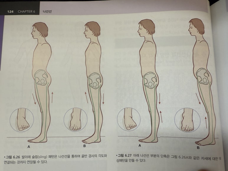 라이프짐서원역점 이미지