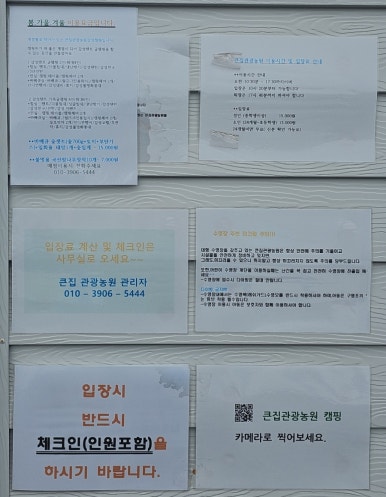 큰집관광농원감성캠핑 이미지