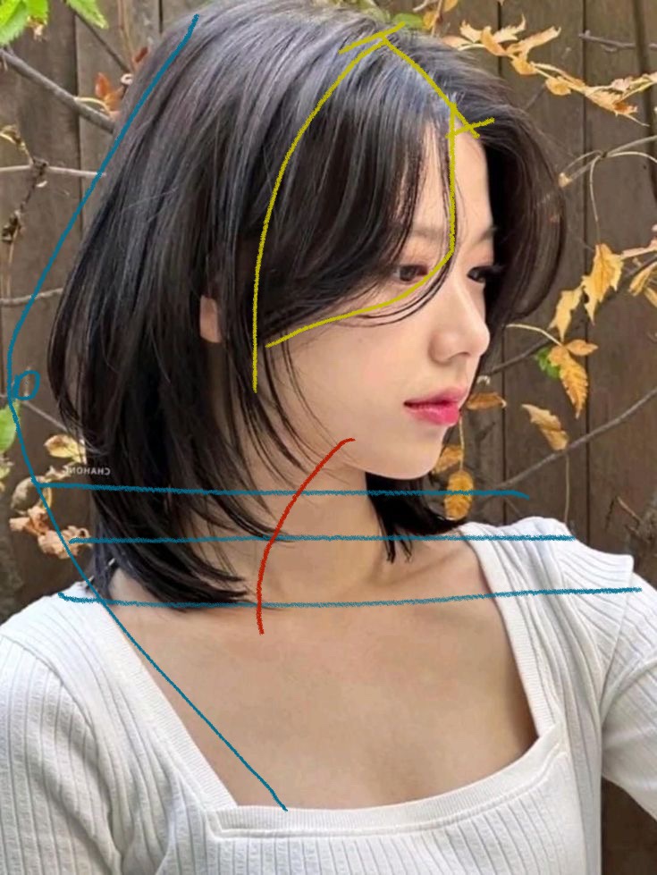 카핑 이미지