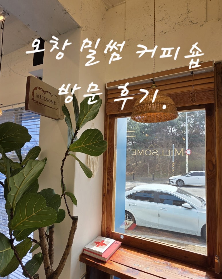밀썸 이미지