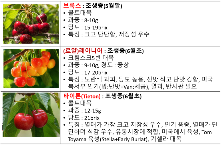 들향기농원 이미지