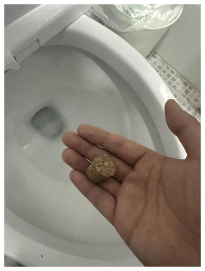 케어의신 이미지