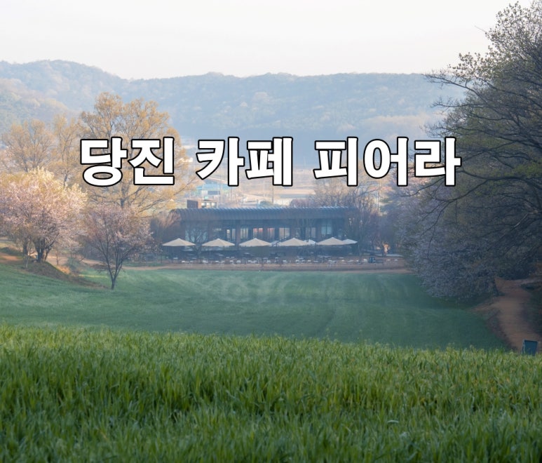 카페봄 이미지