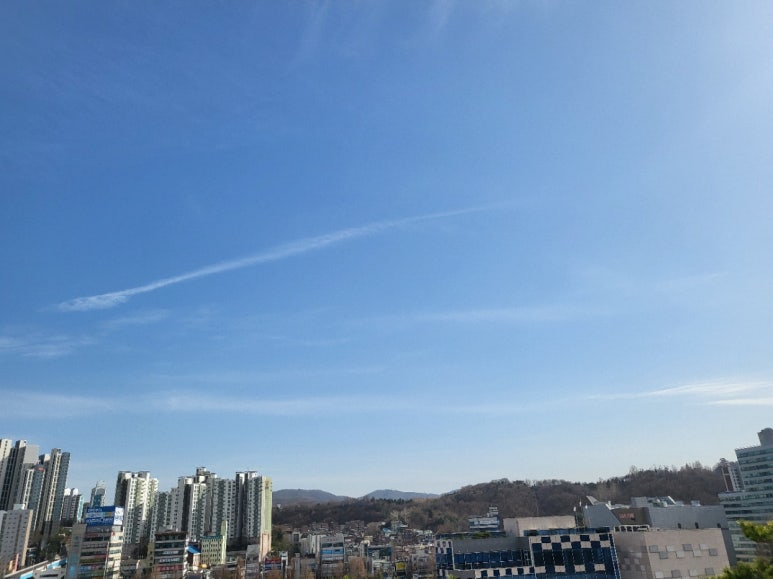 내게온 봄 이미지