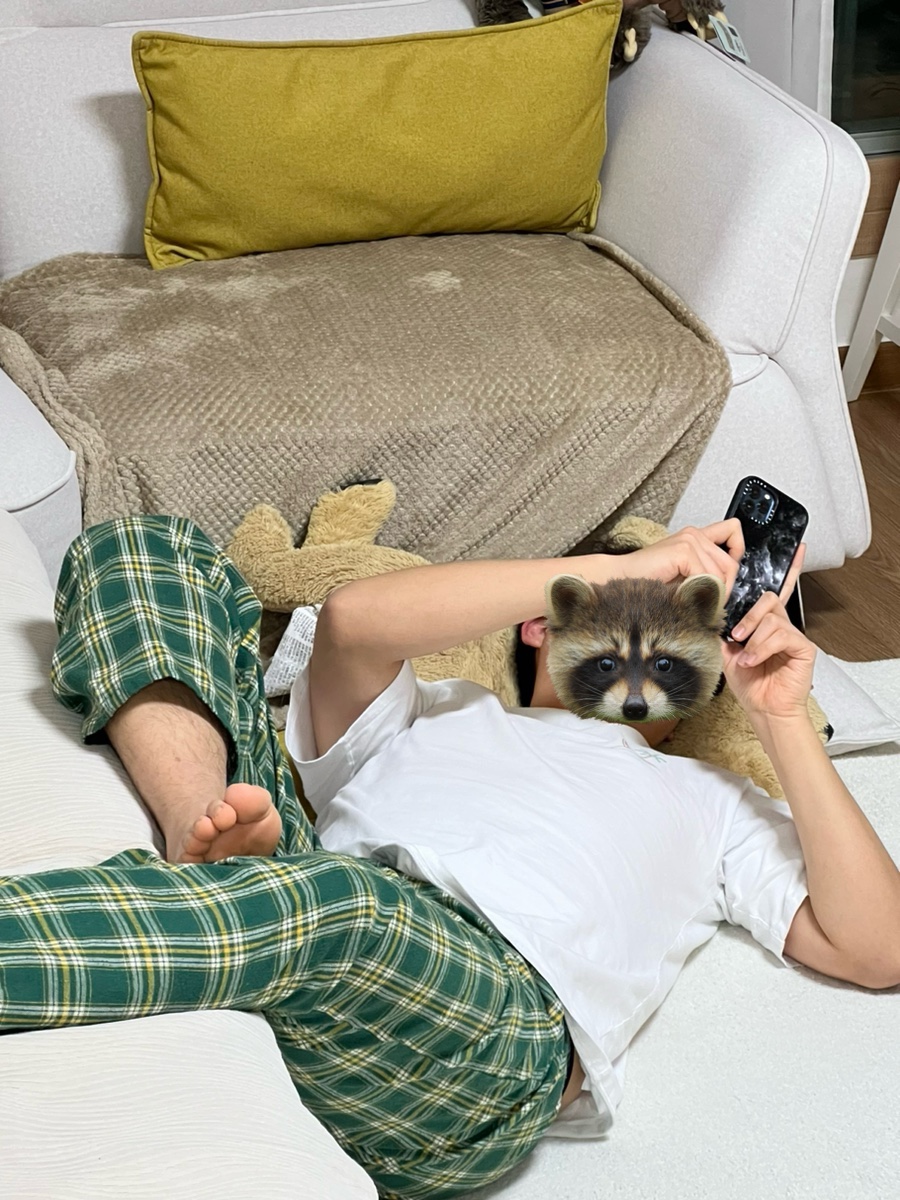 돼지한마당 사진 6