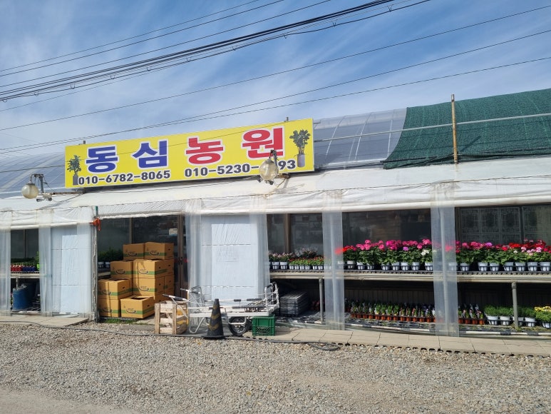 동심다육 이미지