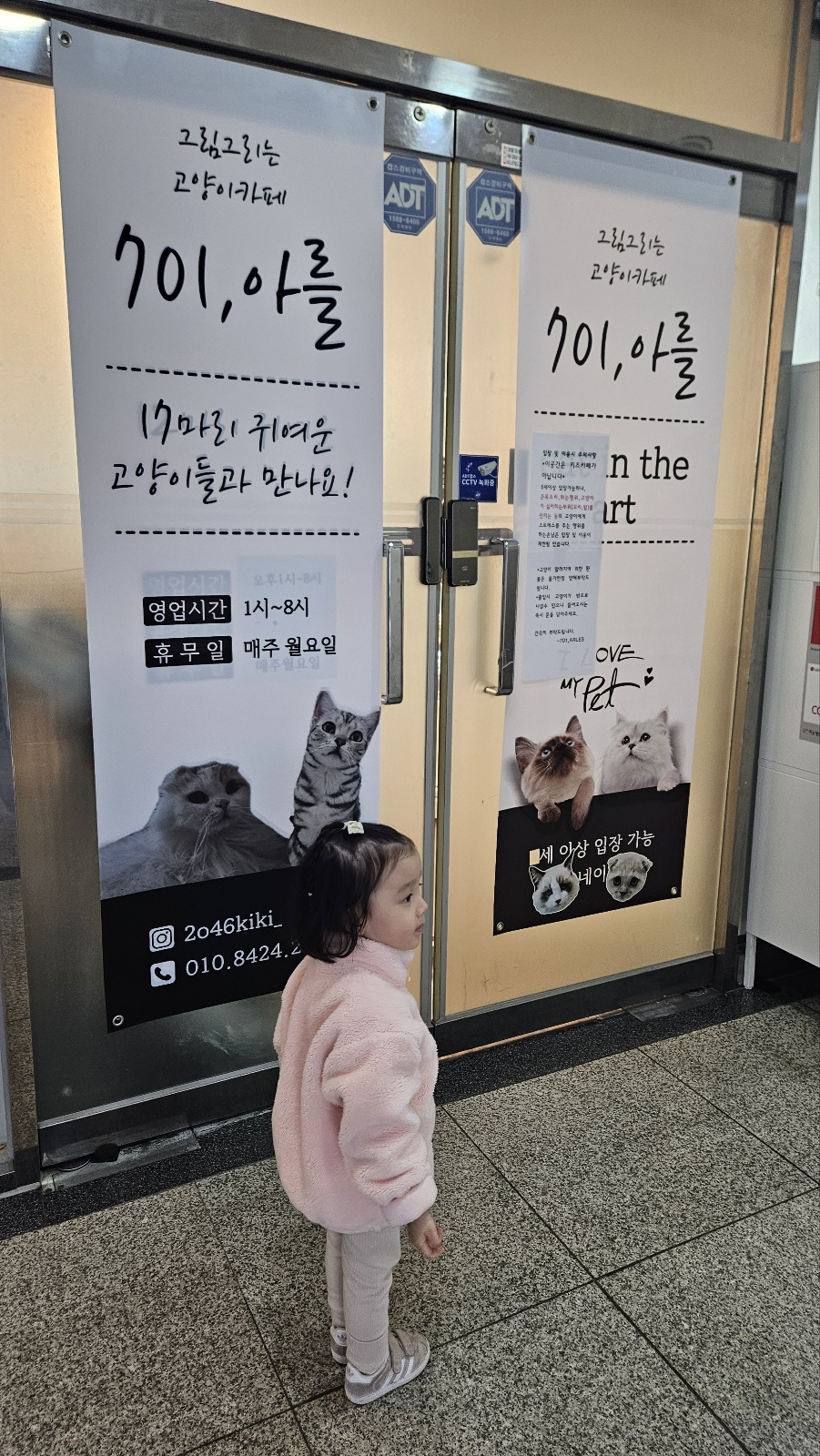 701아를고양이카페(cat in the art) 이미지