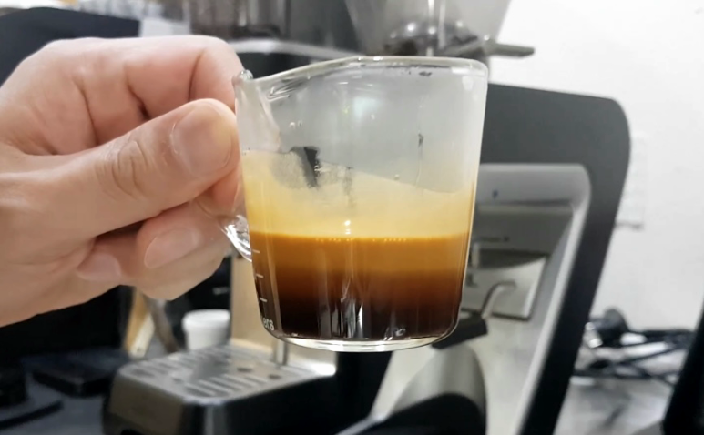 5 스타 커피(5 STAR COFFEE) 이미지