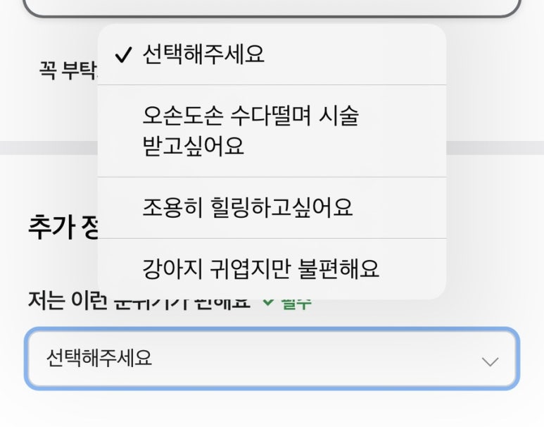 누크헤어 이미지