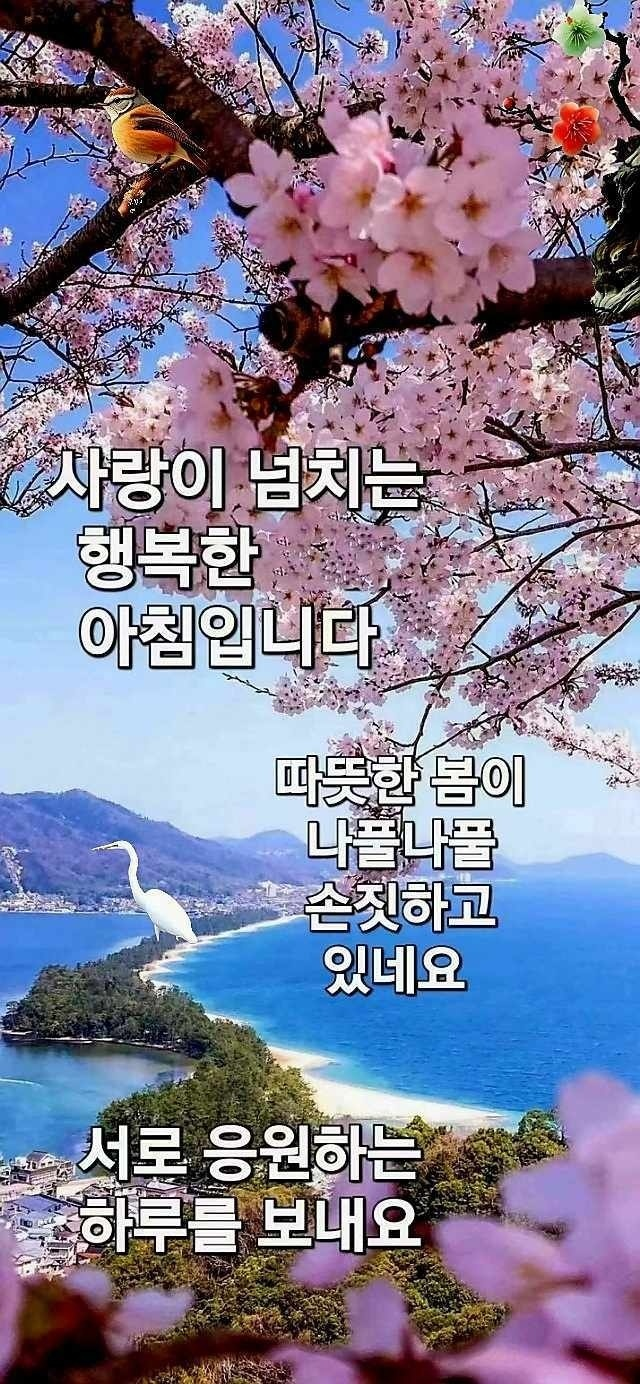 심수 이미지