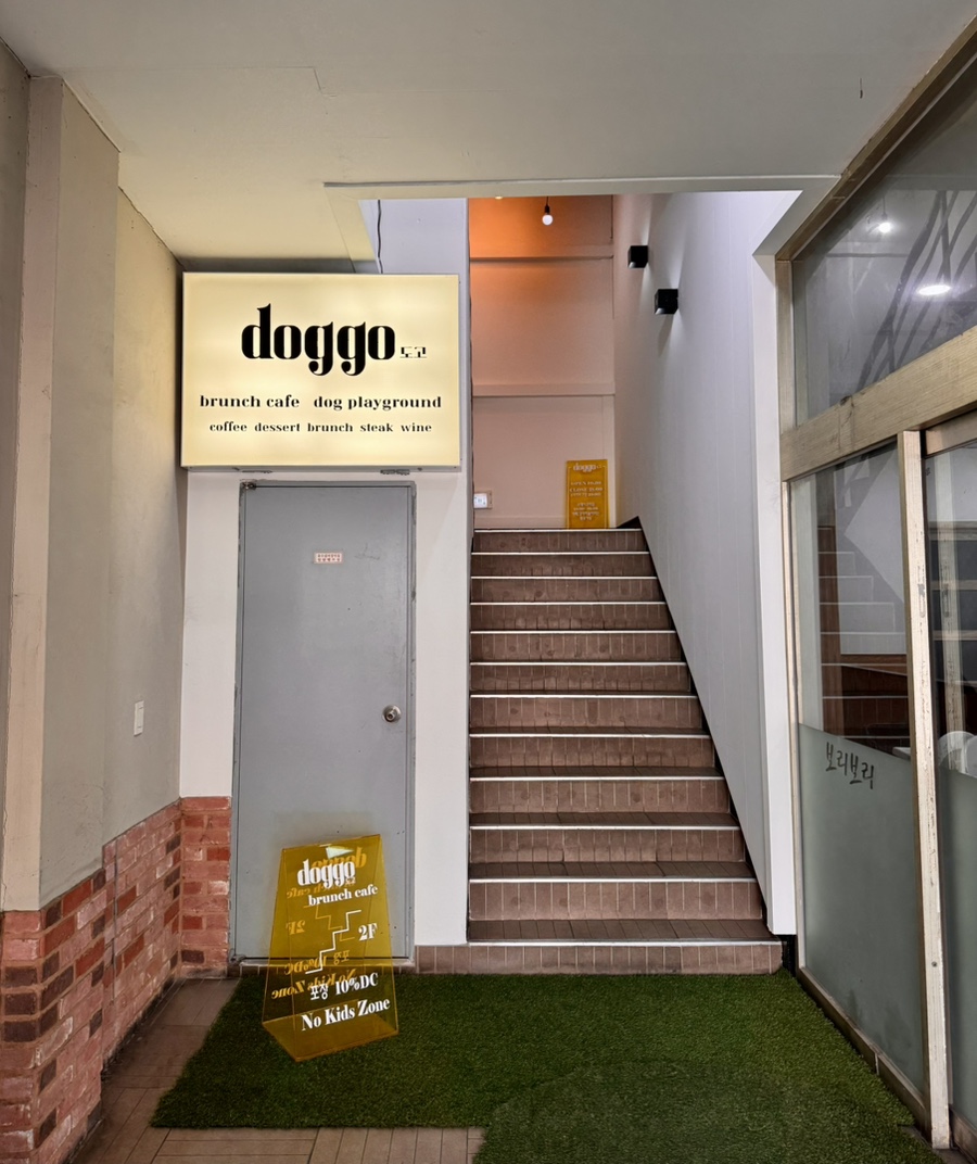 도고(doggo) 이미지