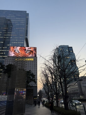 연남토마 현대백화점천호점 이미지