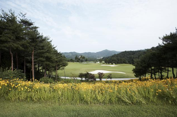 동양감리(주) 이미지