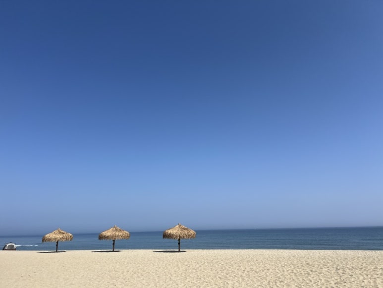 황태국밥 이미지