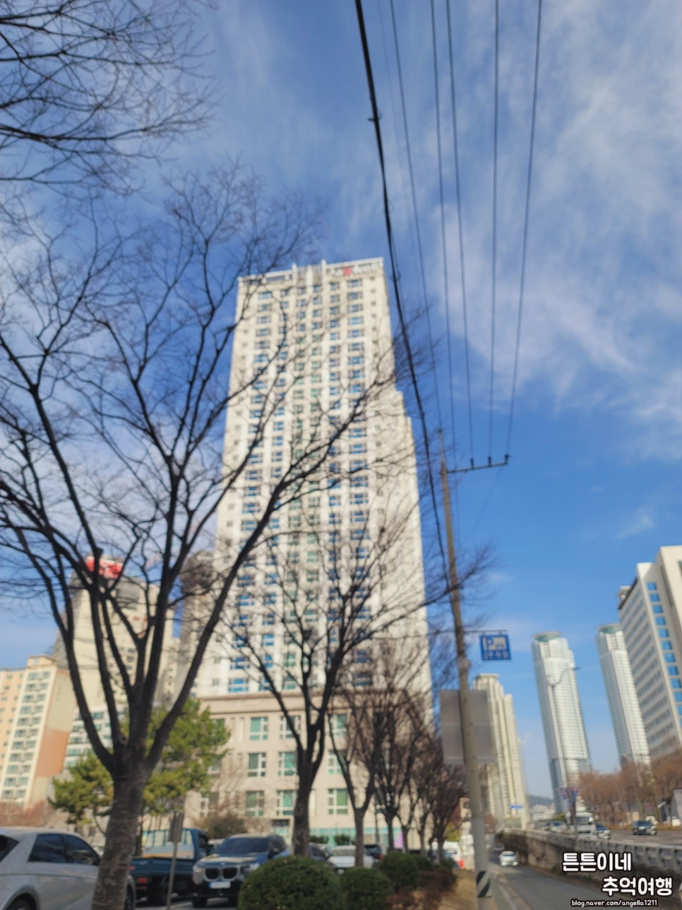 네일받는호랑이 이미지